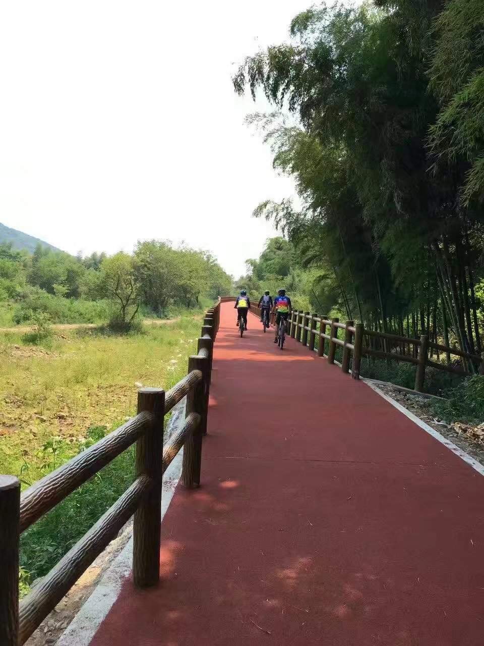 仿樹（shù）皮兩扶手護（hù）欄 (26).jpg