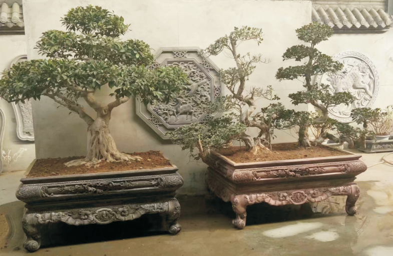 皇家仿（fǎng）古（gǔ）盆景 (5).jpg