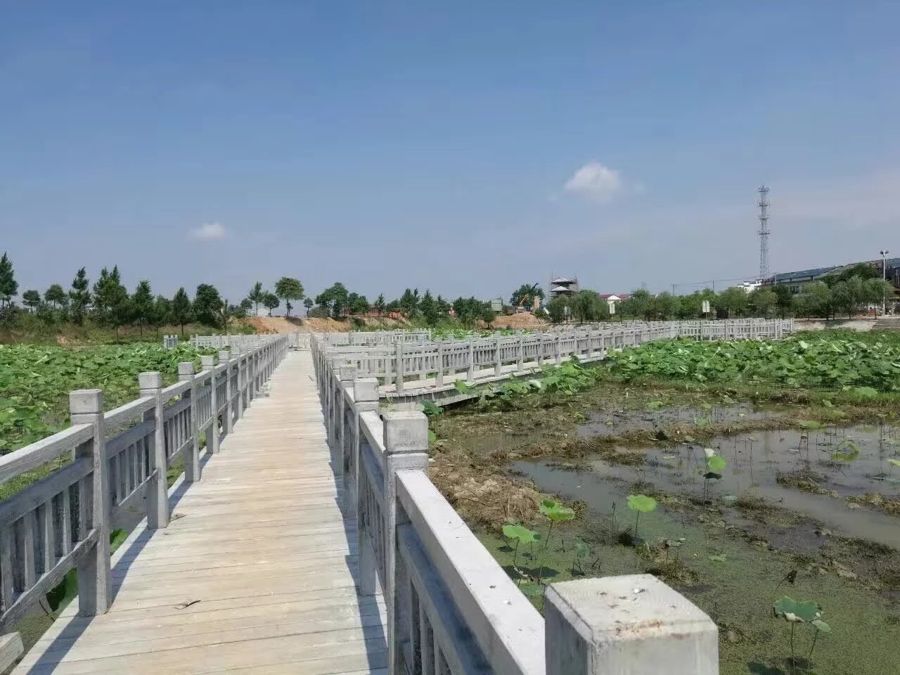 1588836398147340.jpg 1.5米仿木護欄 (21).jpg