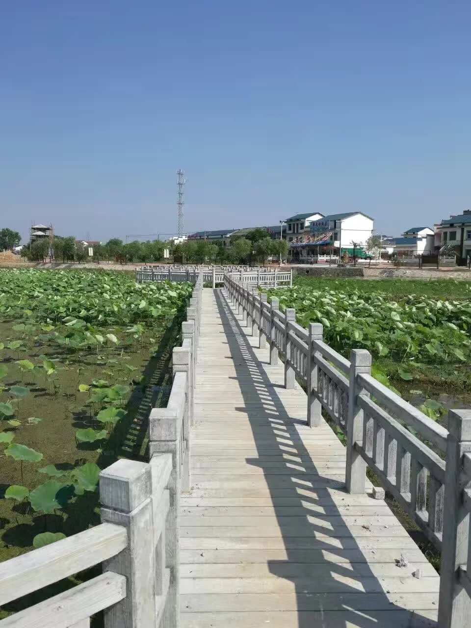 1588836399140369.jpg 1.5米仿木護欄 (17).jpg