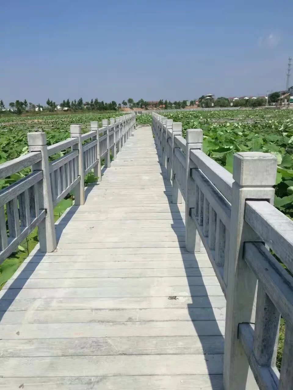 1588836400181249.jpg 1.5米仿(fǎng)木護欄 (18).jpg